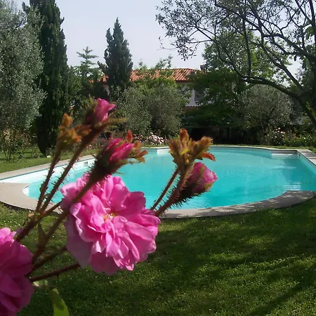 Vanessa San Casciano in Val di Pesa