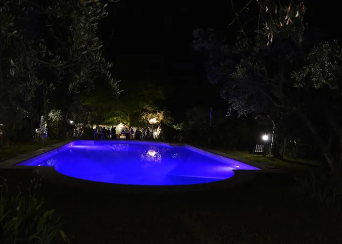 Vanessa Oda ve Kahvaltı *