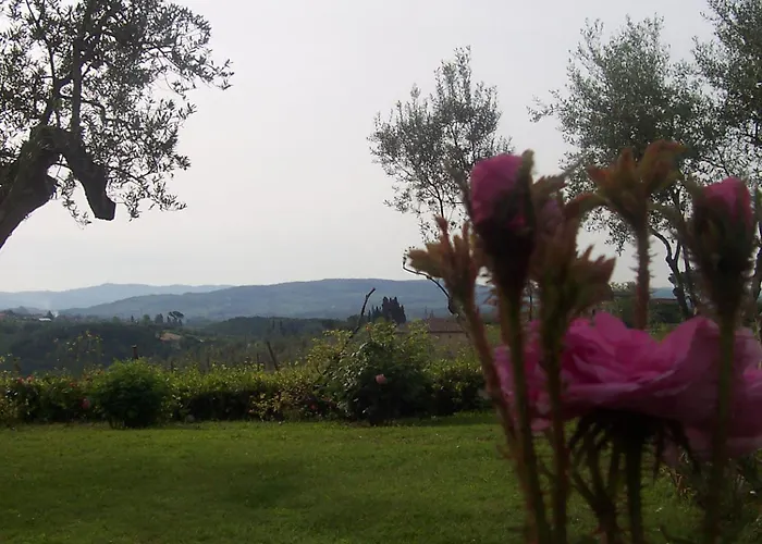 Oda ve Kahvaltı Vanessa *