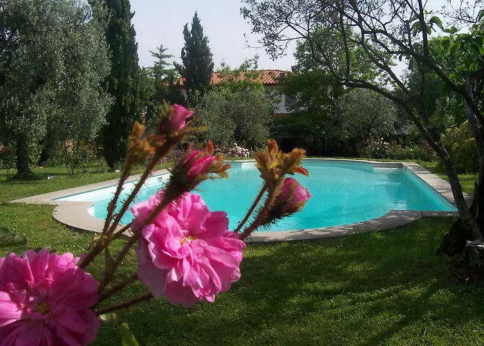 Vanessa San Casciano in Val di Pesa